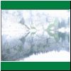 STC_0197.html