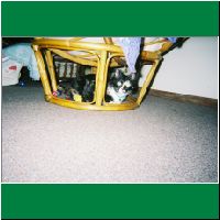 FH000006.html
