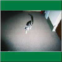FH000007.html