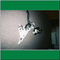 FH000018.html
