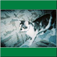 FH000019.html