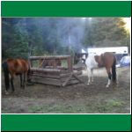 P1010006.html