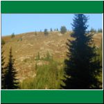 P1010009.html