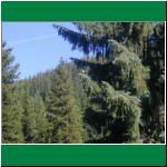 P1010013.html