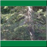 P1010015.html