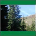 P1010016.html