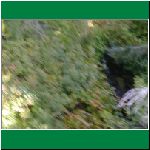 P1010019.html