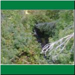 P1010020.html