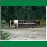P1010024.html