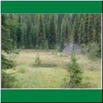 P1010025.html