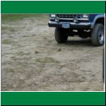 P1010031.html