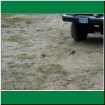 P1010032.html