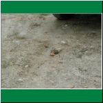 P1010033.html