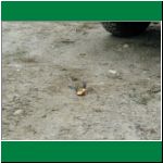 P1010035.html