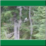 P1010037.html