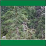 P1010040.html