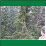 P1010041.html