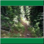 P1010043.html