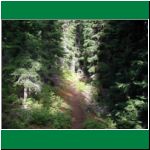 P1010044.html