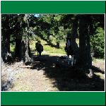 P1010062.html