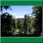 P1010063.html
