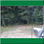 P1010078.html