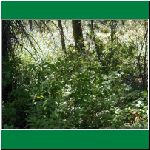 P1010103.html