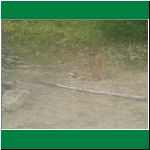 P1010104.html